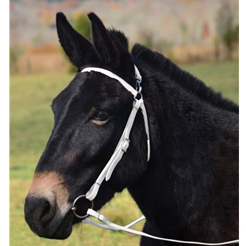 WHITE MULE BRIDLE made from BETA BIOTHANE