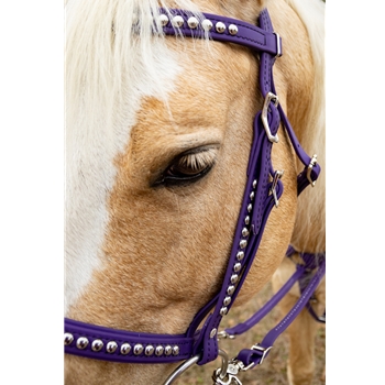 WESTERN BRIDLE (Full Browband) made from BETA BIOTHANE (with SILVER SPOTS or STUDS)