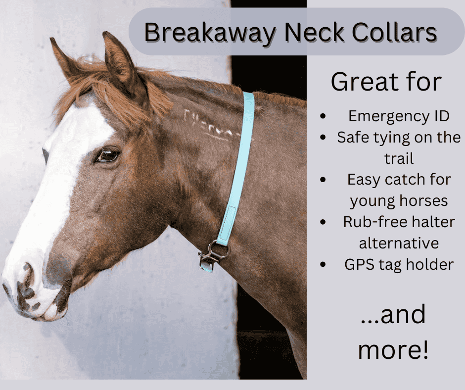 breakway neck collars