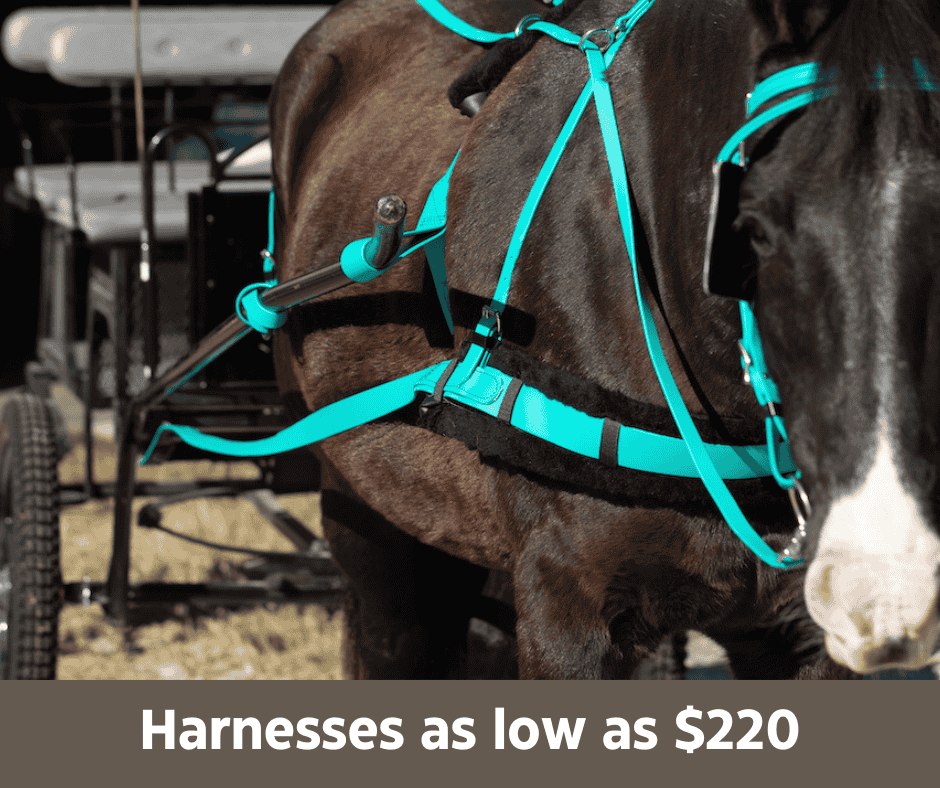 harnesses as low as $220