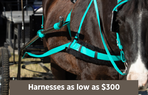 harnesses as low as $300