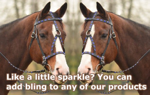 horse wears a sparkling bling tack