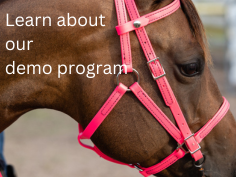 Two Horse Tack - Demo Program