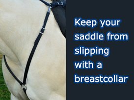 a horse wear a breast collars