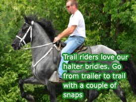 man riding a horse with halter bridles