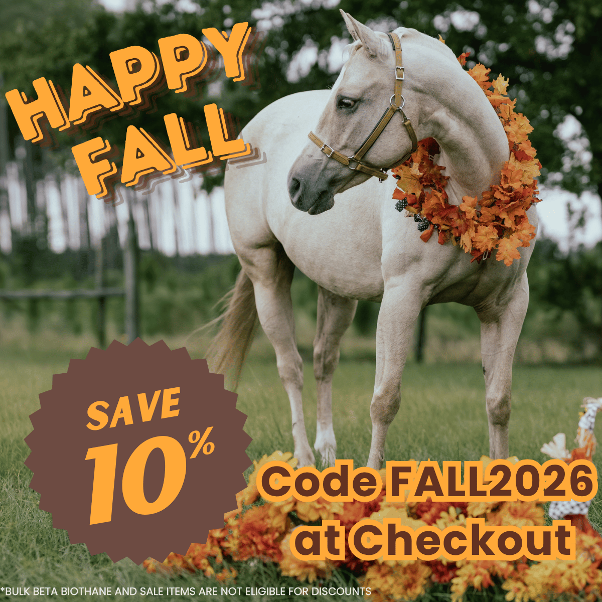 Fall Sale