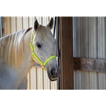 Safety/Neon Yellow Tack