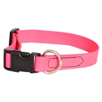 Adjustable Beta Dog Collar