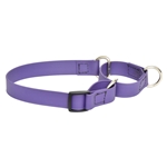 Martingale Dog Collars