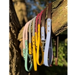 DUAL COLOR DOG LEASHES