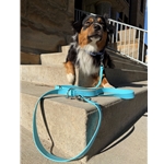 STANDARD MULTI-PURPOSE LEASH
