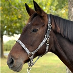 Horse Items