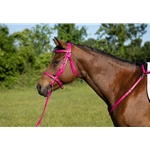 ****PHOTO SAMPLE*** $20 Raspberry Pink Beta Biothane English Bridle Headstall with Cavesson - Horse Size