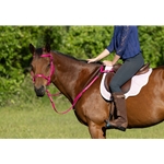 ****PHOTO SAMPLE*** $20 Raspberry Pink Beta Biothane English Convert A Bridle Headstall - Horse Size