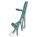 Convertible Bitless Bridle made from BETA BIOTHANE (Solid Colored)