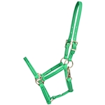 ****PHOTO SAMPLE*** $15 Kelly Green Beta Biothane Weanling/Small Pony Size Halter with Throatlatch Snap