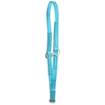 ****PHOTO SAMPLE*** $10 Aqua Blue Beta Biothane Grooming Neck Collar - Pony Size