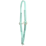 ****PHOTO SAMPLE*** $10 Dusty Turquoise Beta Biothane Grooming Neck Collar - Pony Size