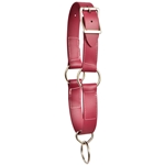 ****PHOTO SAMPLE*** $10 Wine/Maroon Beta Biothane Picket Line Neck Collar - Horse Size