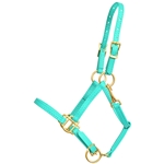 ****CLEARANCE ITEM*** $15 Turquoise Beta Biothane Halter with Throatlatch Snap and Adjustable Chin with Brass Hardware - Small Pony Size