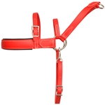 ****CLEARANCE ITEM*** $20 Red Beta Biothane Dog Roading Harness