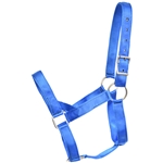 ****CLEARANCE ITEM*** $25 Royal Blue Nylon Heavy Duty Draft Horse Halter - Small Draft Size