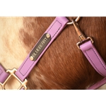 HALTER & LEAD made from BETA BIOTHANE (Solid Colored)