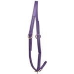 ****PHOTO SAMPLE*** $10 Purple Beta Biothane Grooming Neck Collar - Large Pony Size