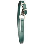 ****PHOTO SAMPLE*** $10 Hunters Green Beta Biothane Turnout Neck Collar with Leather Breakaway Tab