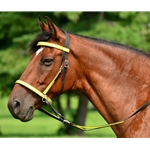 yellowoverlay REFLECTIVE 2 in 1 Bitless Bridle