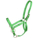 ****PHOTO SAMPLE*** $15 Green Nylon Pack Horse Halter - Horse Size