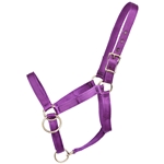 ****PHOTO SAMPLE*** $15 Purple Nylon Pack Horse Halter - Horse Size
