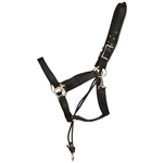 ****PHOTO SAMPLE*** $15 Black Nylon No Pullback Halter - Horse Size