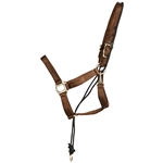 ****PHOTO SAMPLE*** $15 Brown Nylon No Pullback Halter - Horse Size