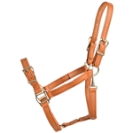 ****PHOTO SAMPLE*** $15 Tan/Light Brown Beta Biothane Buckle Nose Halter - Horse Size