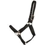 ****PHOTO SAMPLE*** $10 Black Nylon Halter - Horse Size