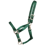 ****PHOTO SAMPLE*** $10 Hunter Green Nylon Turnout Halter with Throatlatch Snap and Adjustable Chin - Horse Size
