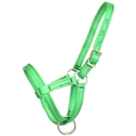 ****PHOTO SAMPLE*** $10 Green Nylon Figure 8 Foal Halter
