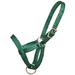 ****PHOTO SAMPLE*** $10 Hunter Green Nylon Figure 8 Foal Halter