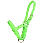 ****PHOTO SAMPLE*** $10 Lime Green Nylon Figure 8 Foal Halter