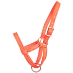 ****PHOTO SAMPLE*** $10 Orange Nylon Figure 8 Foal Halter