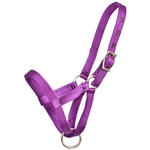 ****PHOTO SAMPLE*** $10 Purple Nylon Figure 8 Foal Halter