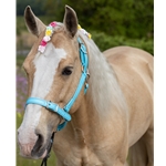 Buckle Nose Halter & Lead Beta Biothane Solid Colored