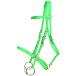****PHOTO SAMPLE*** $20 Lime Green Beta Biothane Halter Bridle with Bit Hangers Headstall with Purple Thread - Horse Size