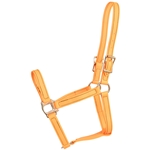 ****PHOTO SAMPLE*** $20 Mango Orange Beta Biothane Halter - Horse Size