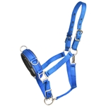 NYLON Heavy Duty Lunging Cavesson