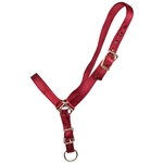 ****PHOTO SAMPLE*** $10 Burgundy Nylon Grooming Halter - Horse Size