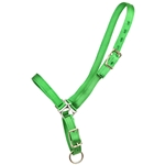 ****PHOTO SAMPLE*** $10 Green Nylon Grooming Halter - Horse Size
