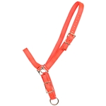 ****PHOTO SAMPLE*** $10 Orange Nylon Grooming Halter - Horse Size