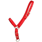 ****PHOTO SAMPLE*** $10 Red Nylon Grooming Halter - Horse Size